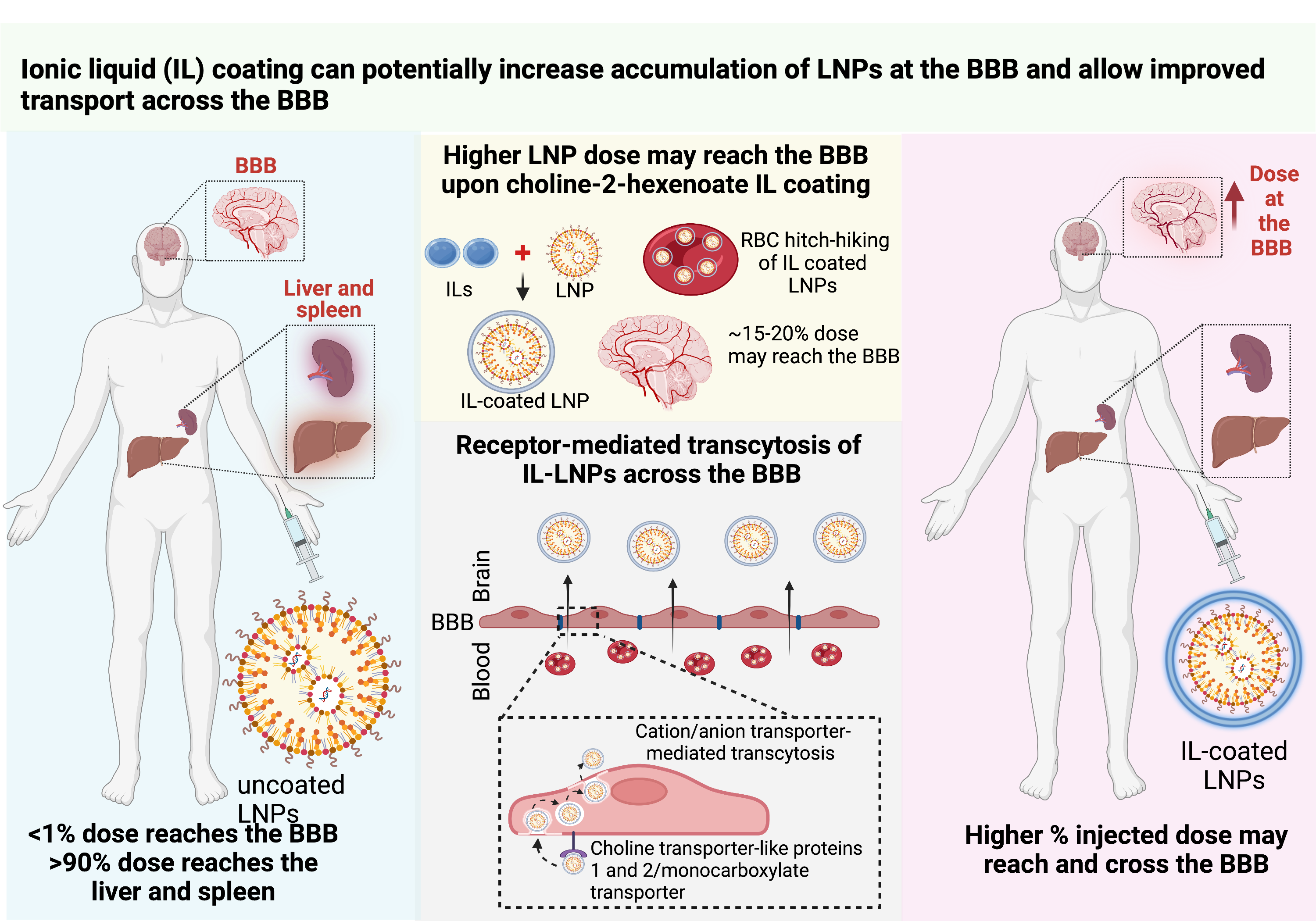 Graphical abstract_ADDR
