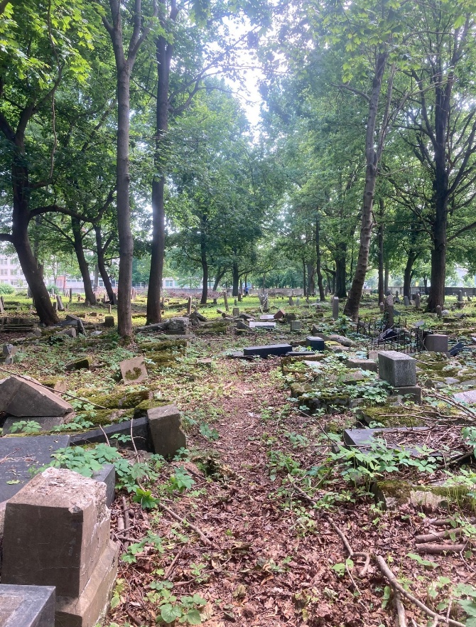 Scattered and damaged headstones among trees in the Kaunas Jewish Cemetery in Žaliakalnis.