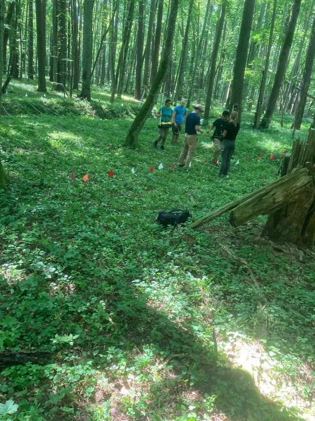 Researchers collecting ground-penetrating radar data near a suspected mass grave in the Vidzgiris Forest.