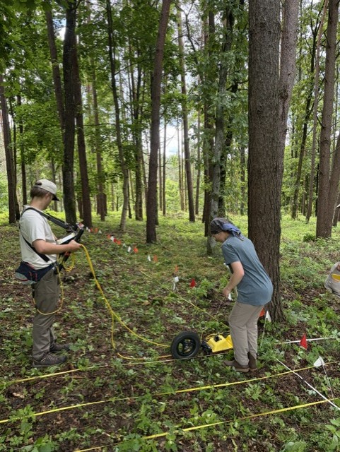 Researchers collecting ground-penetrating radar data in Vilkija while searching for buried remains of the cemetery fence.