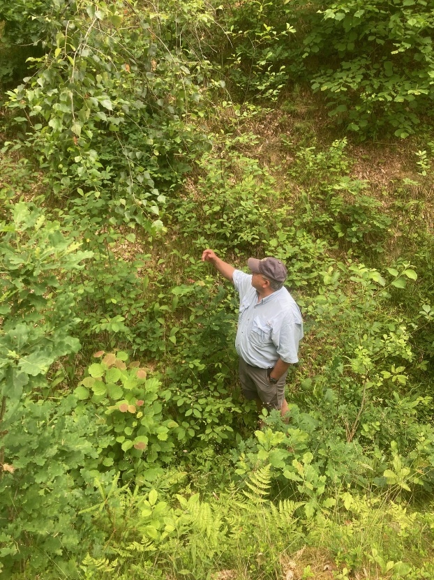 Professor Harry Jol standing in the overgrown trench that had been prepared for the murder and burial of Sabile’s Roma population.
