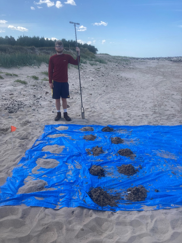 Student standing beside soil samples arranged on a blue tarp at the Skede beach soil-probe site.