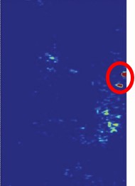 Ground-penetrating radar data slice from 2.15 to 2.20 meters depth with a small anomalous reflection circled in red.