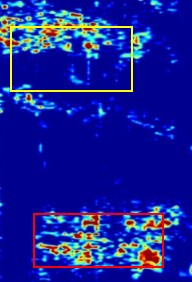 Ground-penetrating radar Grid 7 data slice at about 1.6 meters depth with yellow and red boxes marking two possible mass graves.