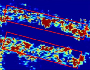 Ground-penetrating radar Grid 8 data slice with two elongated highlighted reflection patterns interpreted as burial trenches.